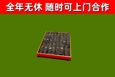 临漳县回收海参